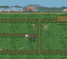 Super Keiba 2 screenshot 4 for Super Famicom